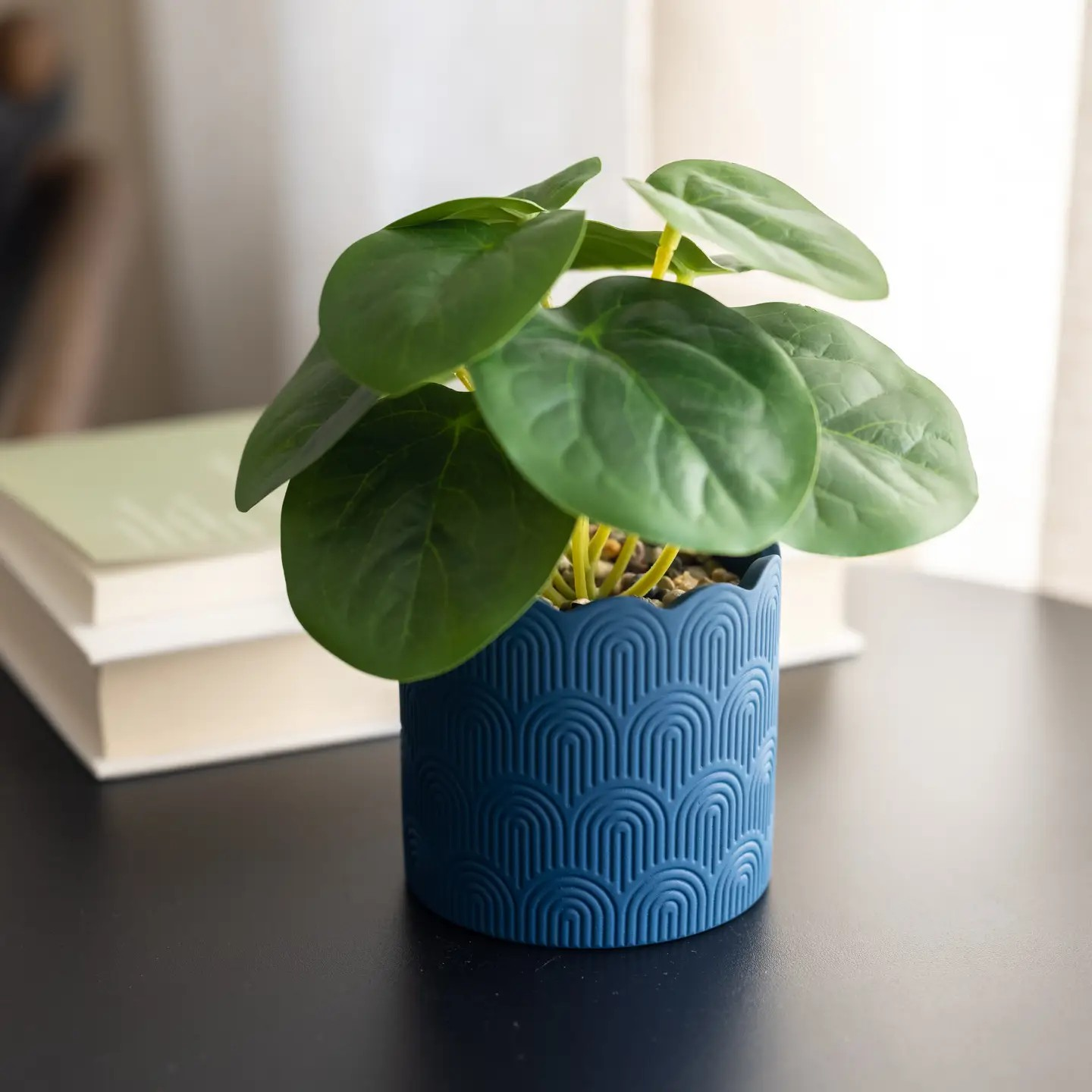 Money Plant Blue Ceramic