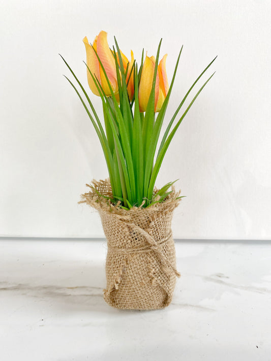 Mini Tulip Decor