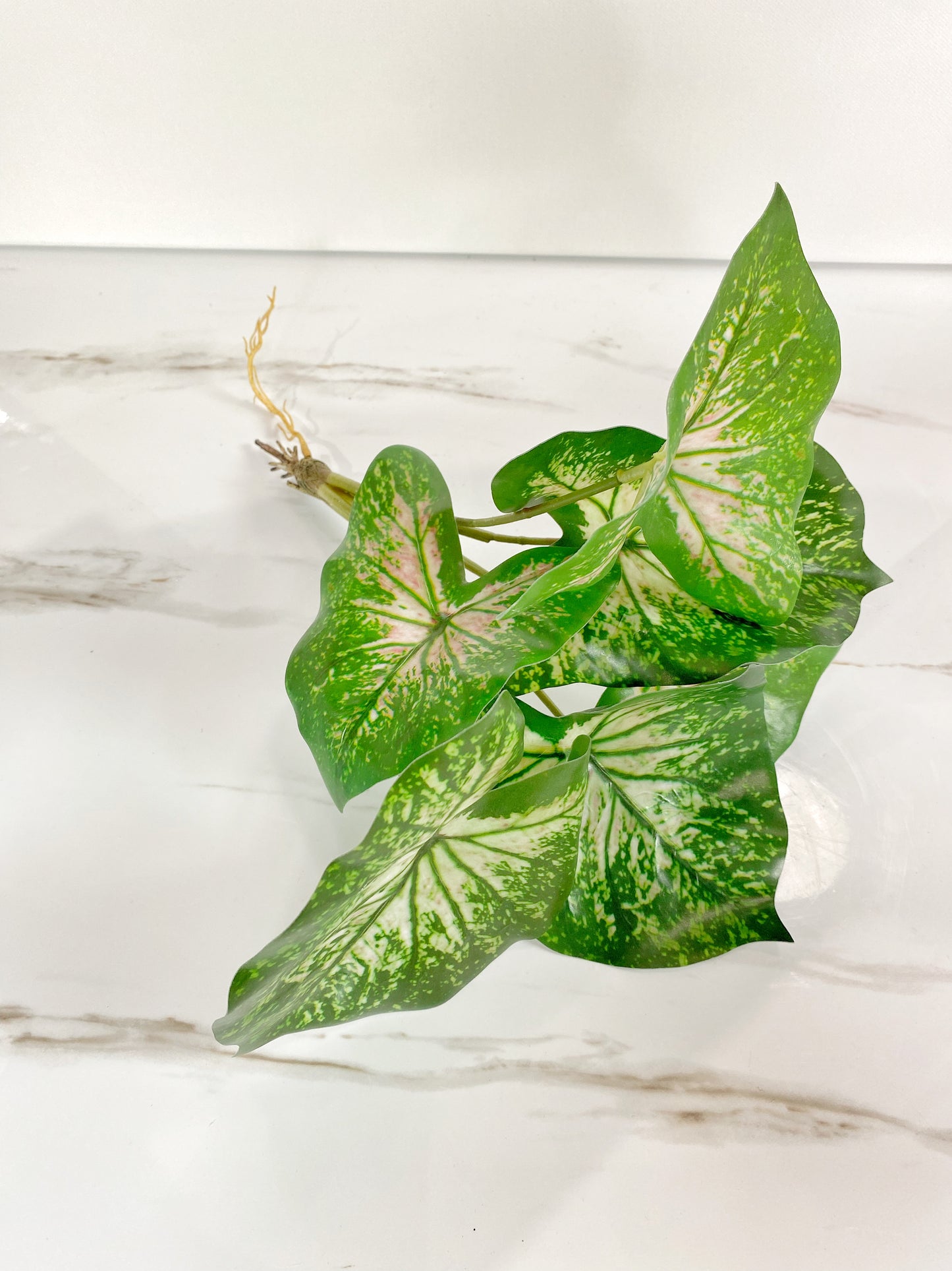 Faux Leaf Philodendron