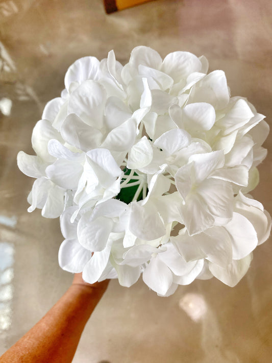 White Hydrangeas