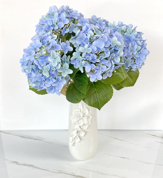 Blue Hydrangeas