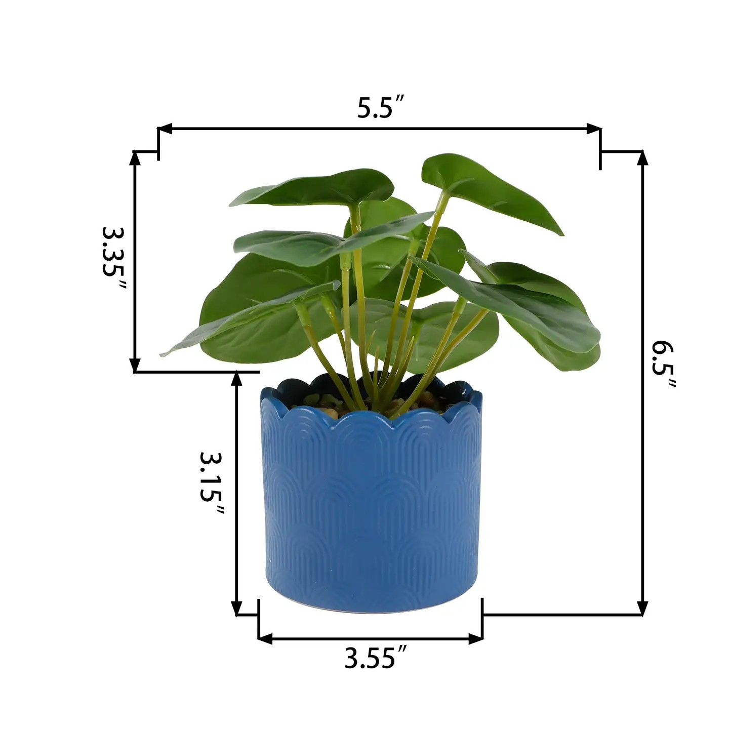 Money Plant Blue Ceramic