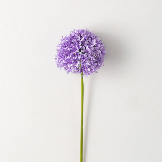 Allium Stem